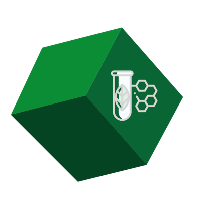 Área VI
